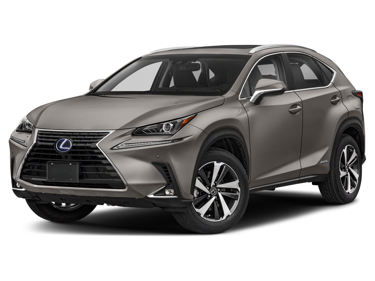 2020 Lexus NX 350h 300h AWD's photo