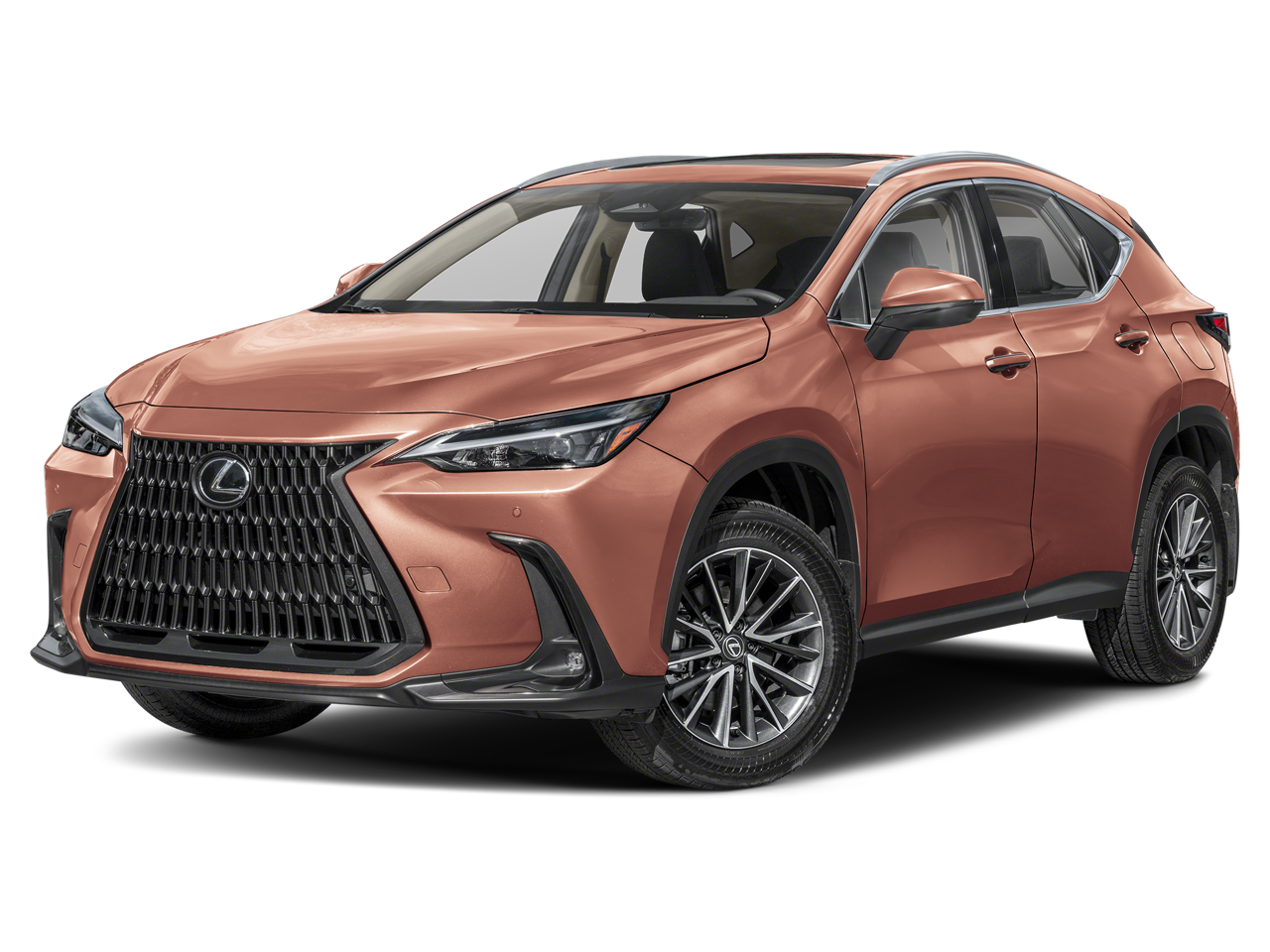 2025 Lexus NX 350 Base