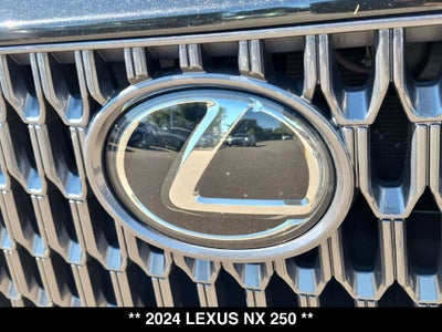 2024 Lexus NX 250 Base