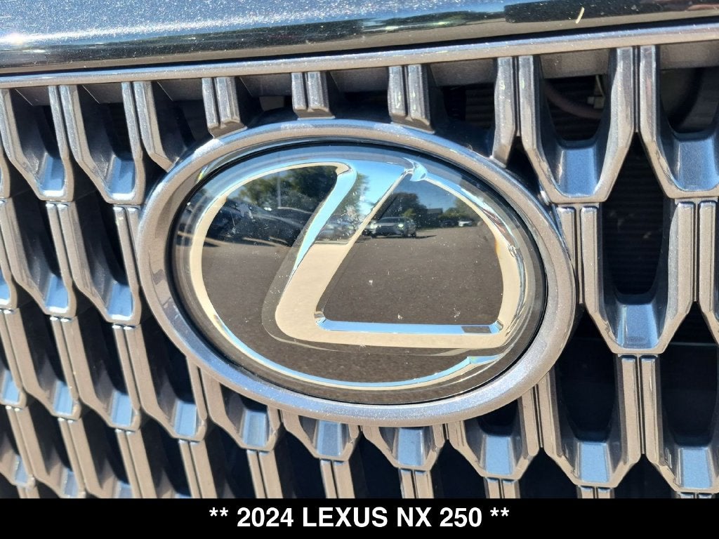 2024 Lexus NX 250 Base