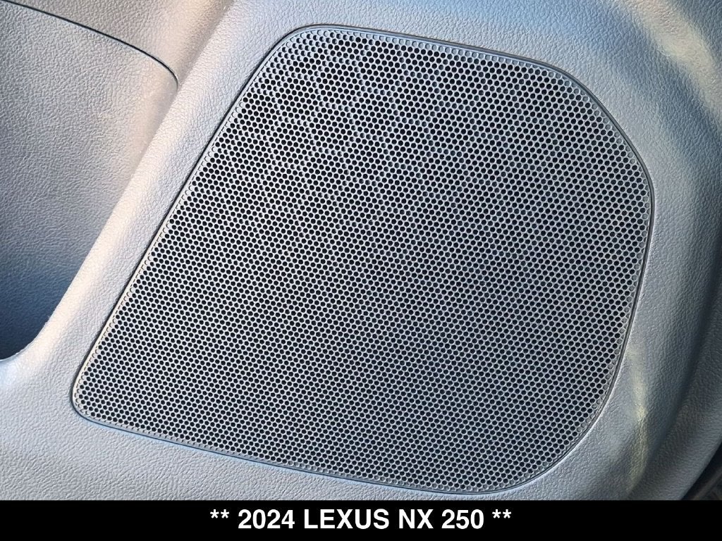 2024 Lexus NX 250 Base