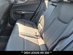 2024 Lexus NX 250 Base