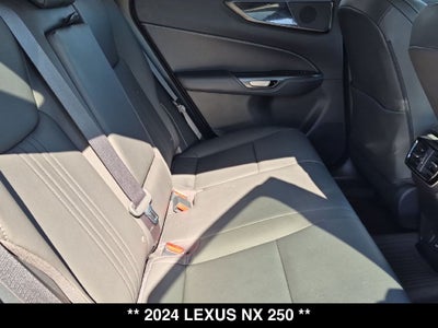 2024 Lexus NX 250 Base