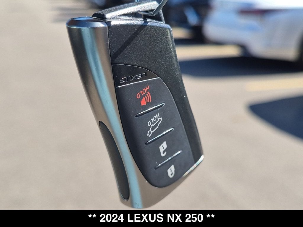 2024 Lexus NX 250 Base