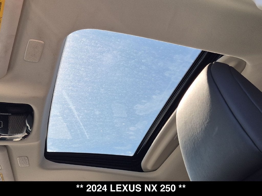 2024 Lexus NX 250 Base