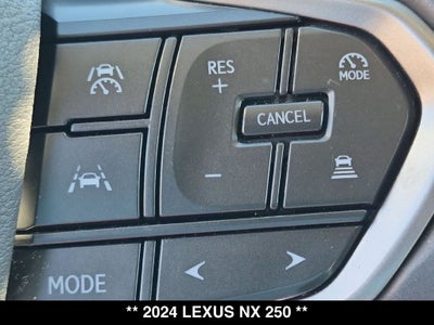 2024 Lexus NX 250 Base