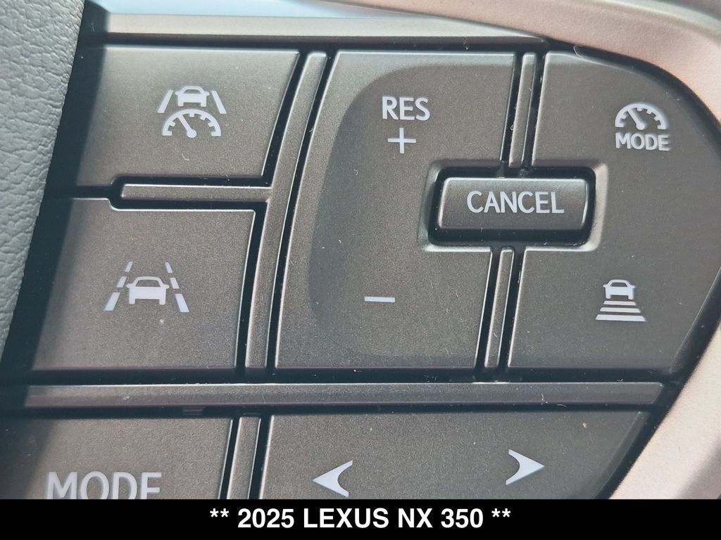 2025 Lexus NX AWD