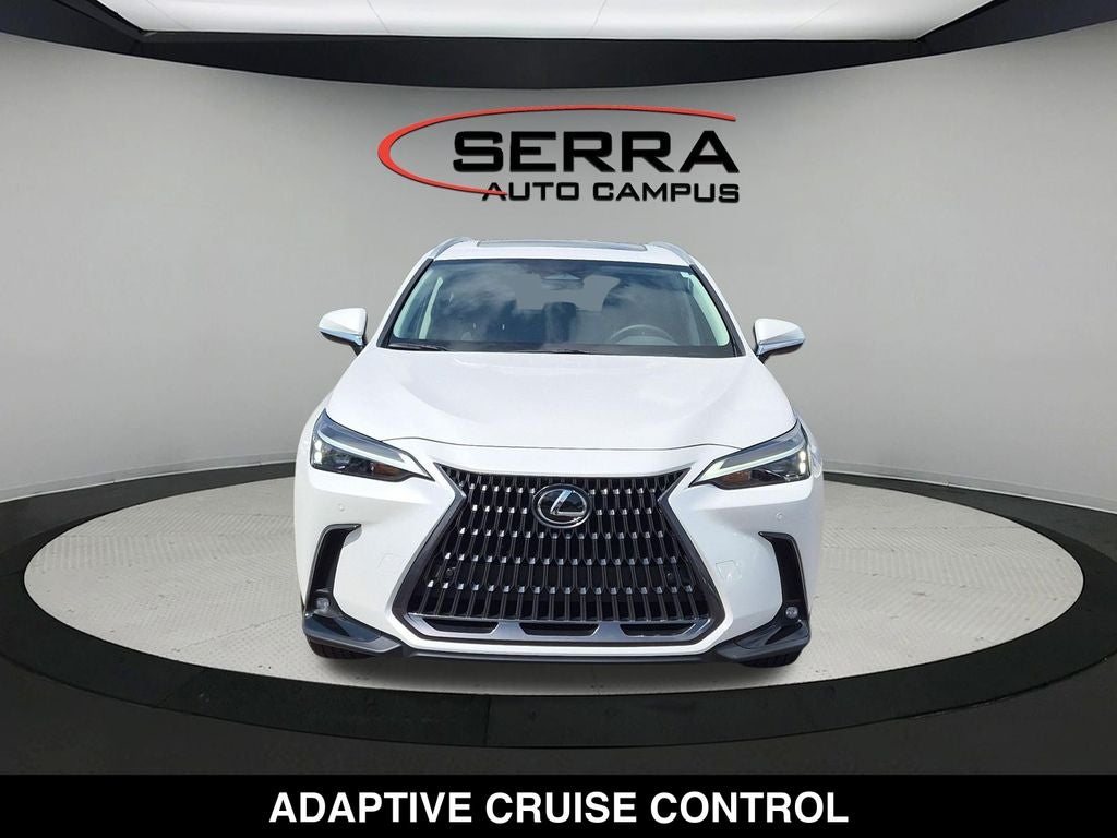 2025 Lexus NX AWD
