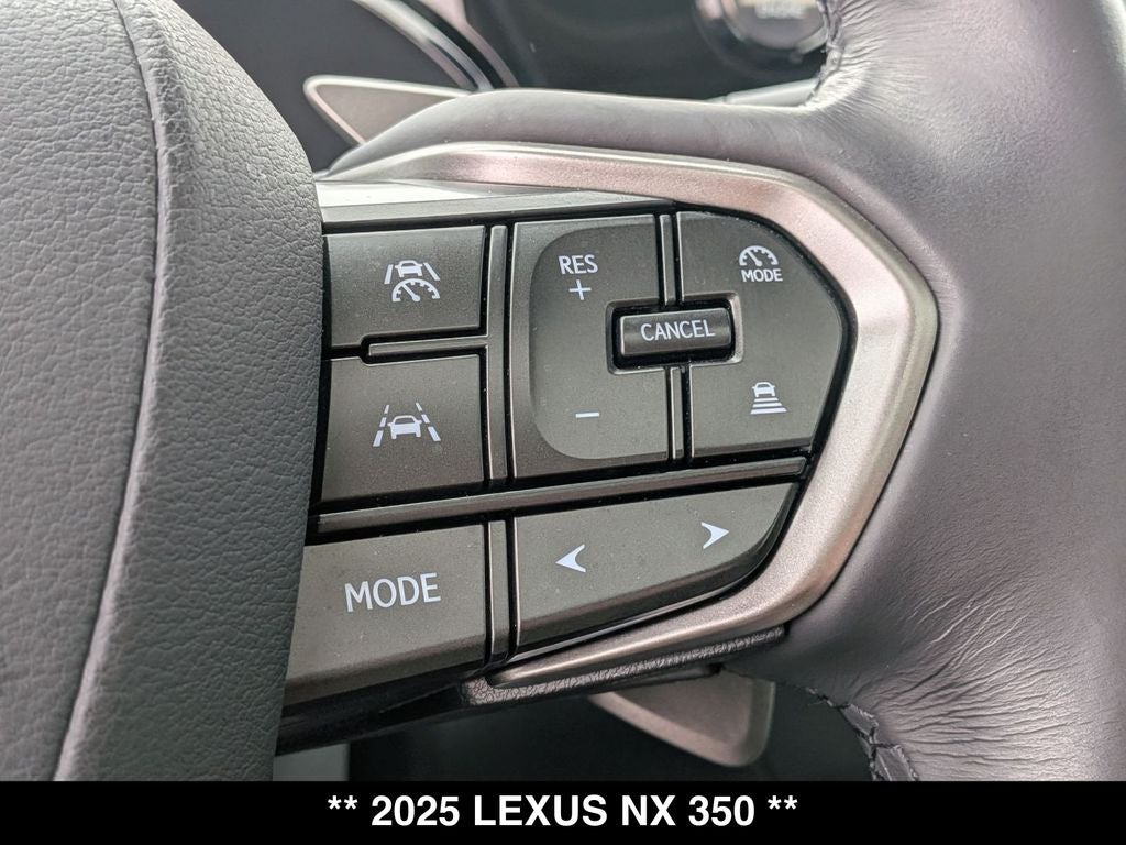 2025 Lexus NX 350 Base