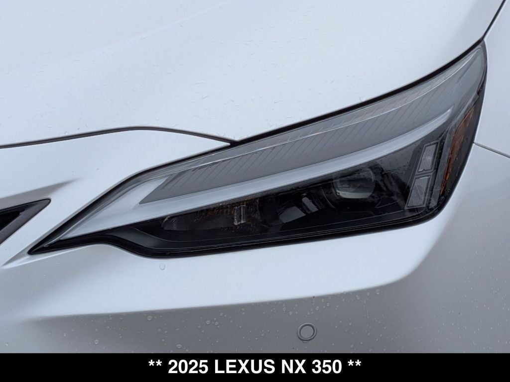 2025 Lexus NX 350 Base
