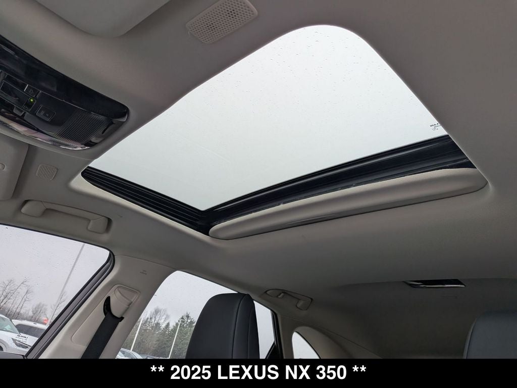 2025 Lexus NX 350 Base