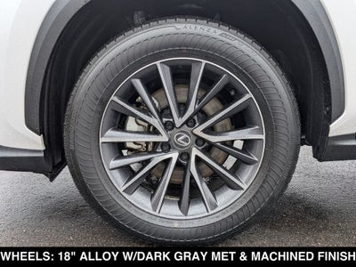 2025 Lexus NX 350 Base