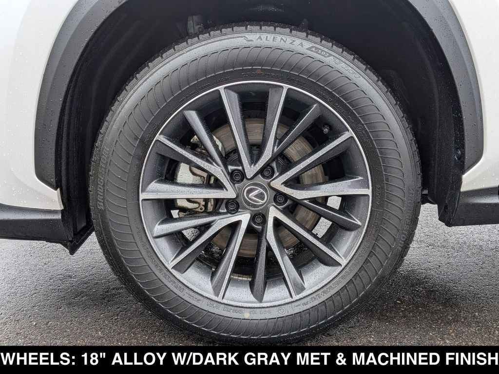 2025 Lexus NX 350 Base