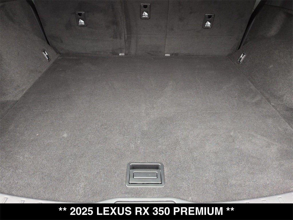 2025 Lexus RX PREMIUM
