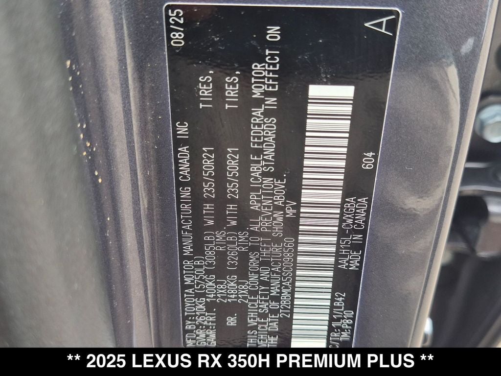2025 Lexus RX PREMIUM PLUS