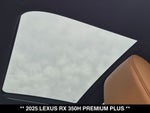 2025 Lexus RX PREMIUM PLUS