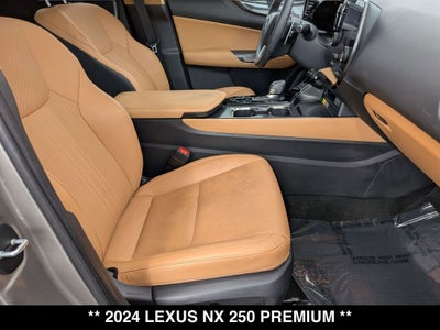 2024 Lexus NX 250 Premium