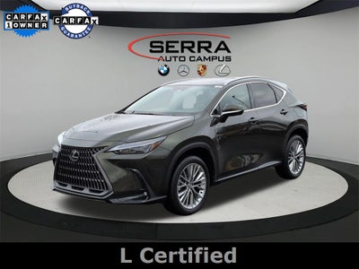 2025 Lexus NX PREMIUM