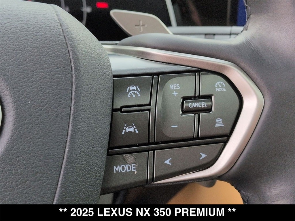 2025 Lexus NX PREMIUM