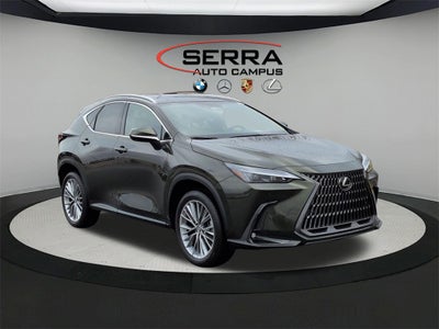 2025 Lexus NX PREMIUM