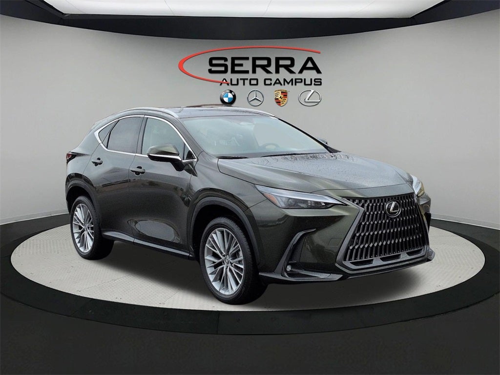 2025 Lexus NX PREMIUM