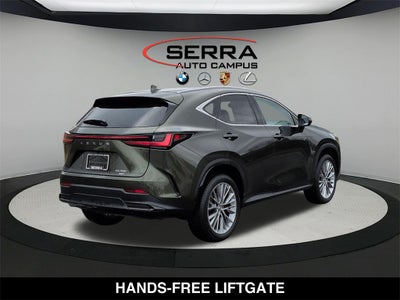 2025 Lexus NX PREMIUM