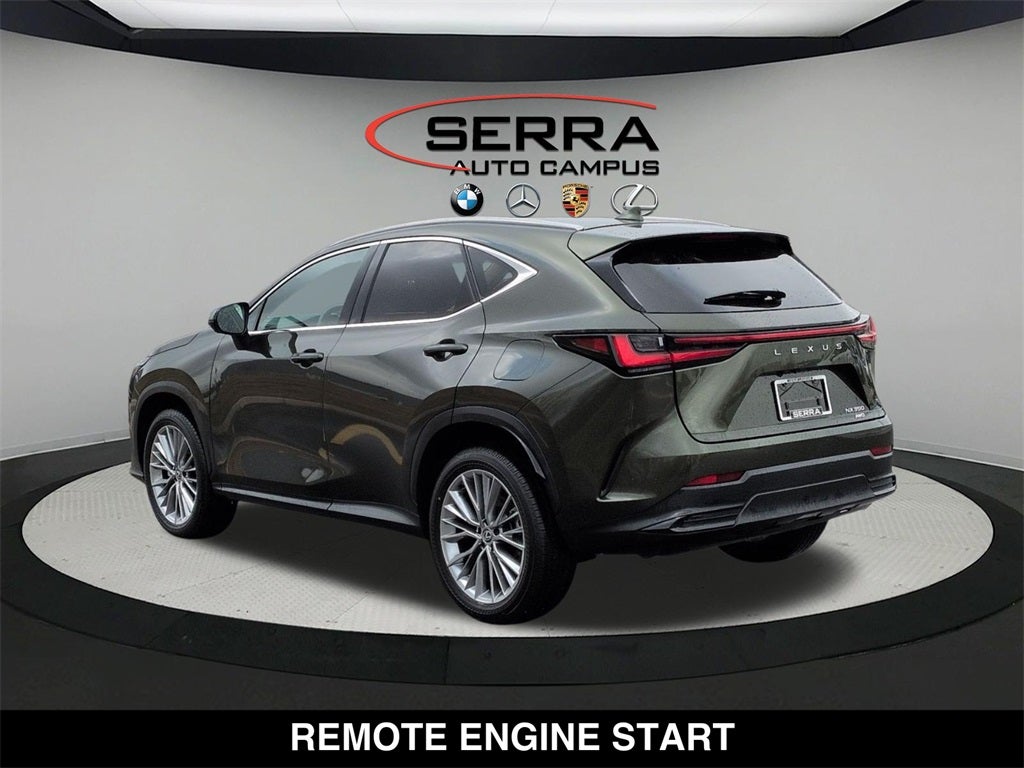 2025 Lexus NX PREMIUM