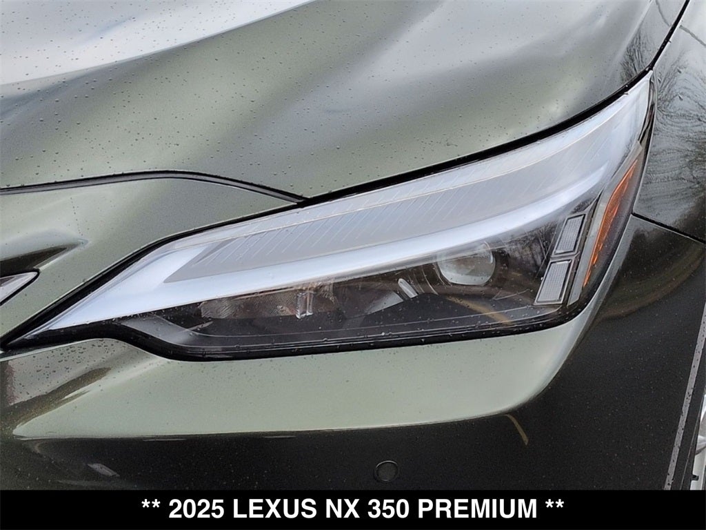 2025 Lexus NX PREMIUM