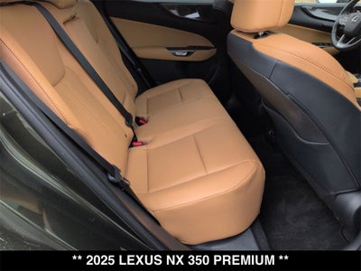 2025 Lexus NX PREMIUM