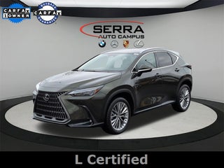 2025 Lexus NX PREMIUM