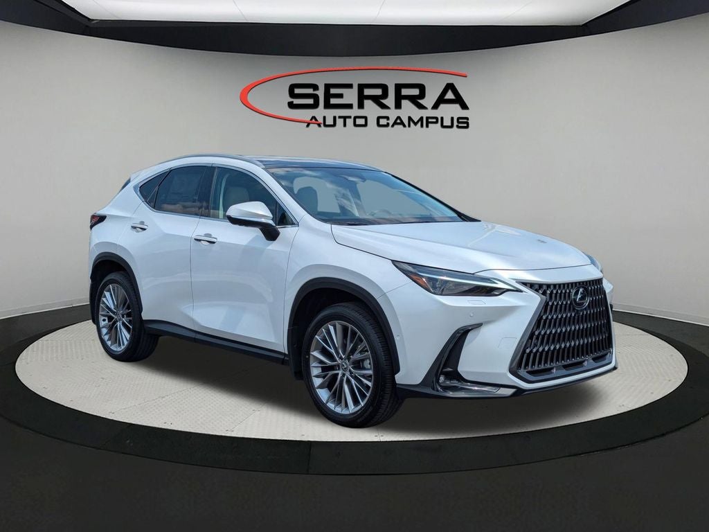 2025 Lexus NX 350 Luxury