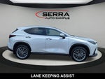 2025 Lexus NX 350 Luxury