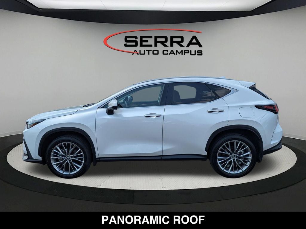 2025 Lexus NX 350 Luxury