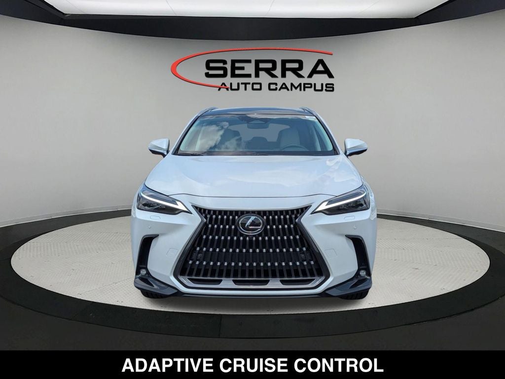 2025 Lexus NX 350 Luxury