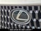 2026 Lexus NX 350h Luxury