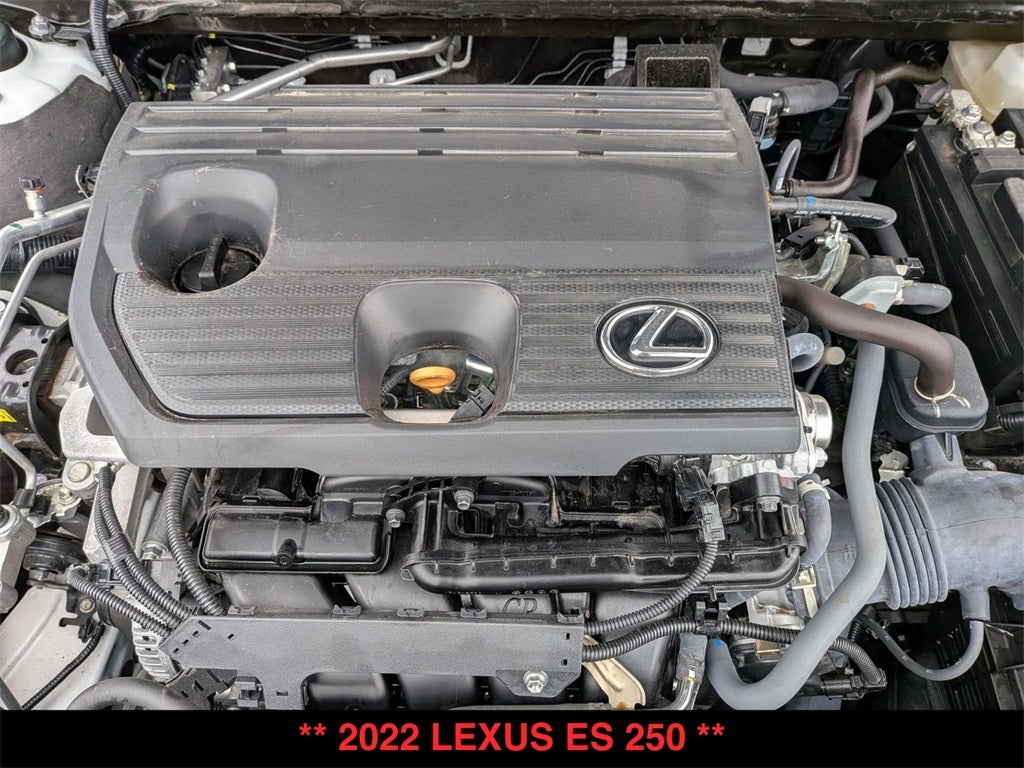 2022 Lexus ES 250