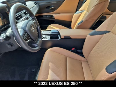 2022 Lexus ES 250