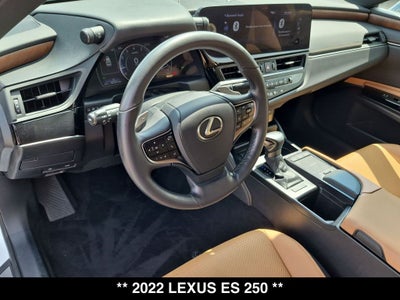 2022 Lexus ES 250