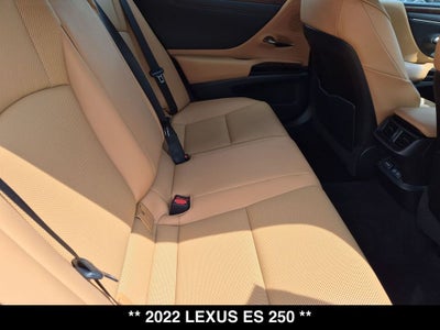 2022 Lexus ES 250
