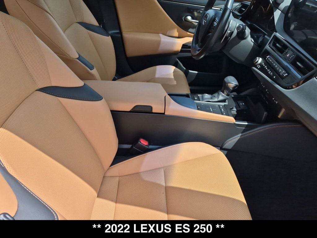 2022 Lexus ES 250