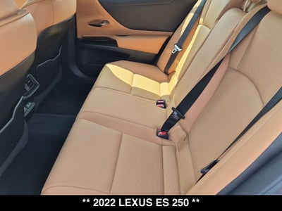2022 Lexus ES 250