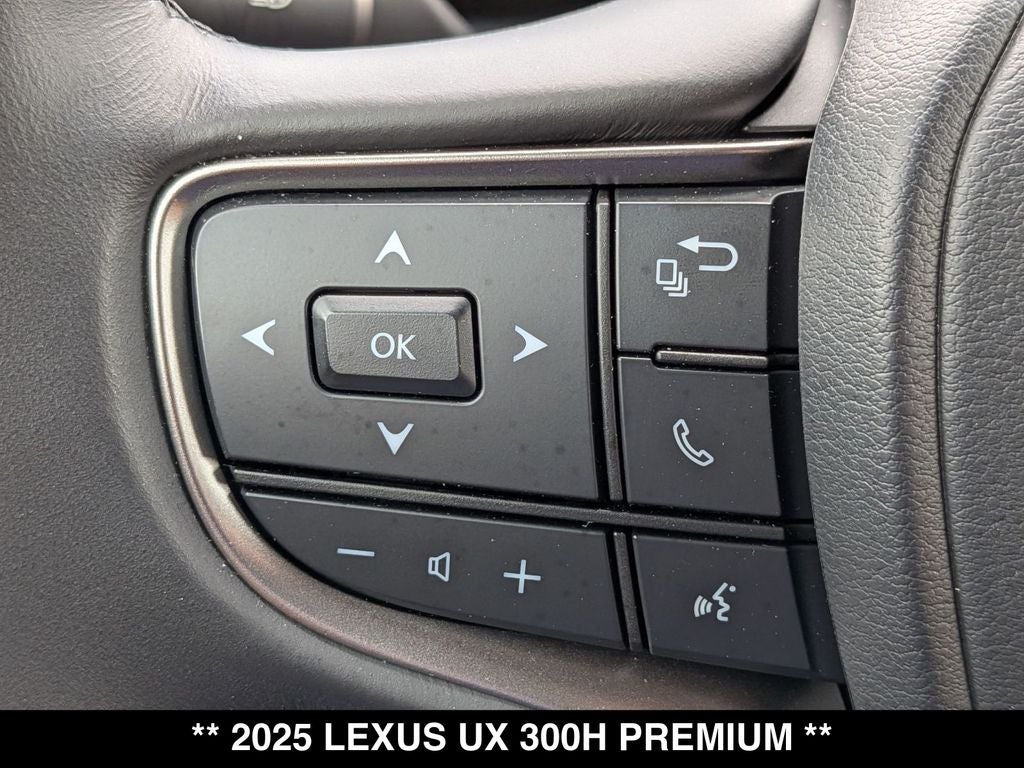 2025 Lexus UX 300h Premium