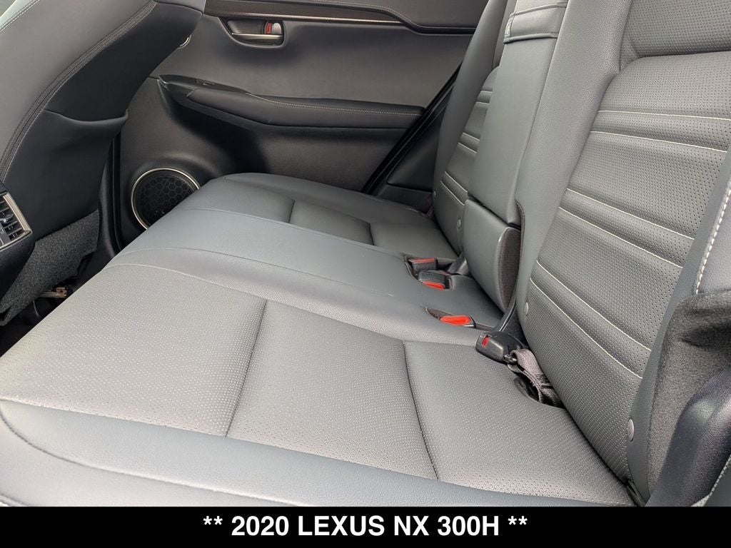 2020 Lexus NX 300h
