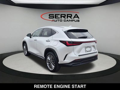 2025 Lexus NX PREMIUM