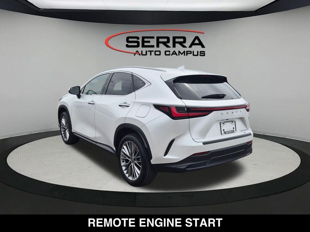 2025 Lexus NX PREMIUM