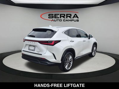 2025 Lexus NX PREMIUM