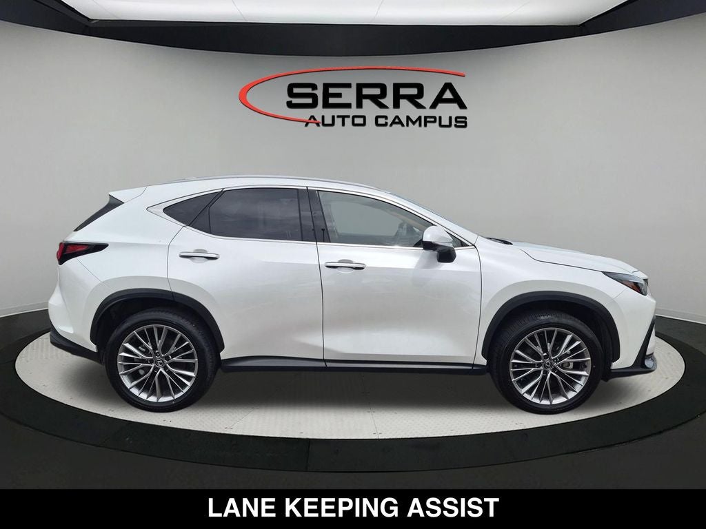 2025 Lexus NX PREMIUM