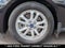 2023 Ford Transit Connect XLT