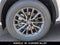 2026 Lexus NX 350 AWD