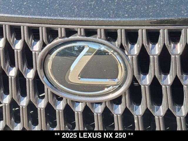 2025 Lexus NX 250 NX 250